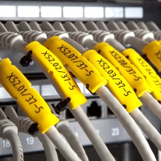 PK-20021PN4 - PK 2/21 YELLOW VEGETABLES: CLEAN (450 pieces).