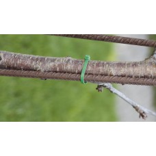 PKB-10025-2 - crimping band 100 x 2.5 mm RED (100 pcs.)