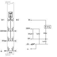 750-407 2-channel digital input;220 VDC;light gray