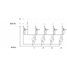 757-144 Коробка датчика/виконавчого механізму M12; 4-канальний; 4-полюсний